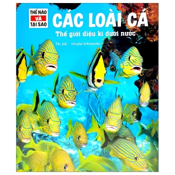Thế Nào Và Tại Sao - Các Loài Cá - Thế Giới Diệu Kì Dưới Nước