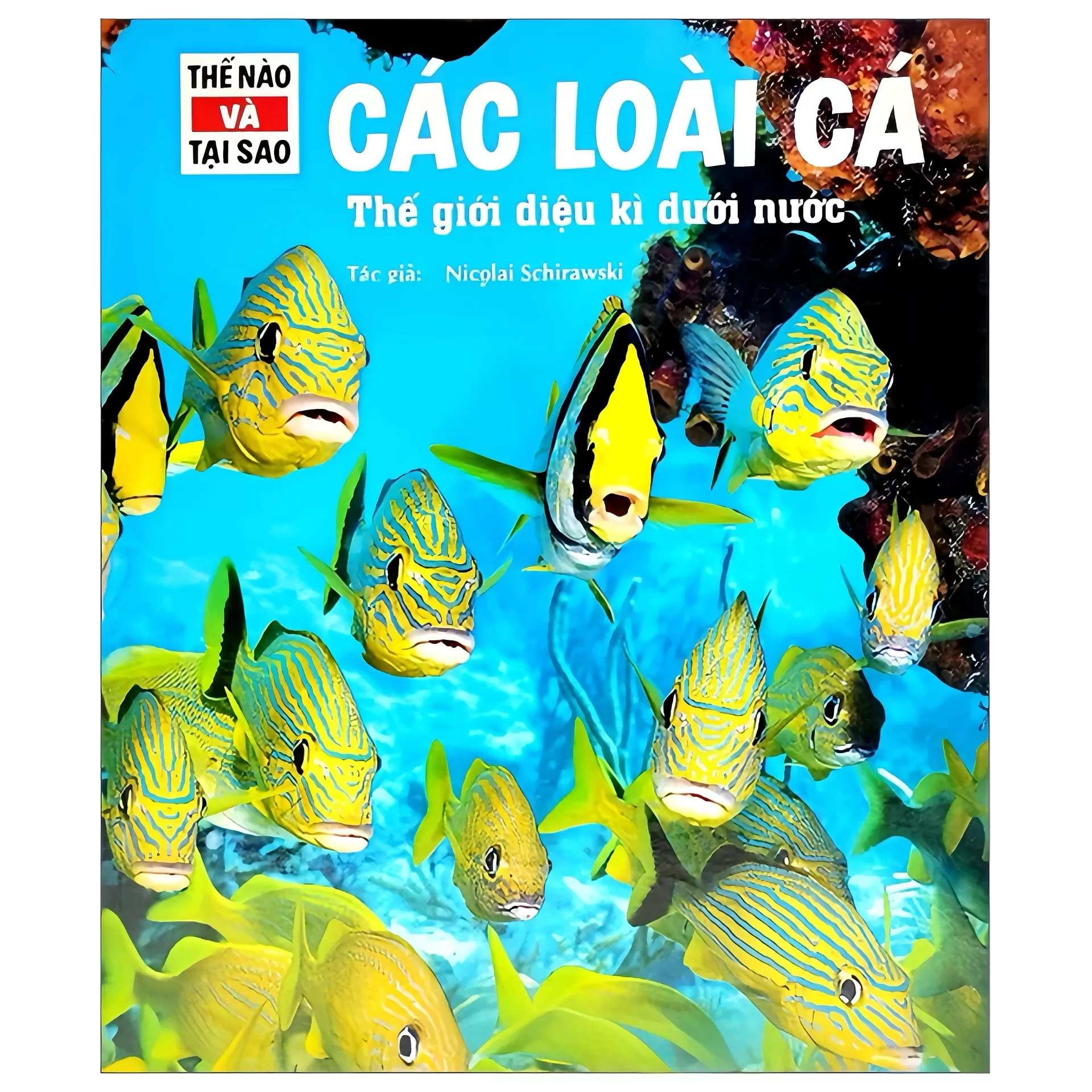 Thế Nào Và Tại Sao - Các Loài Cá - Thế Giới Diệu Kì Dưới Nước